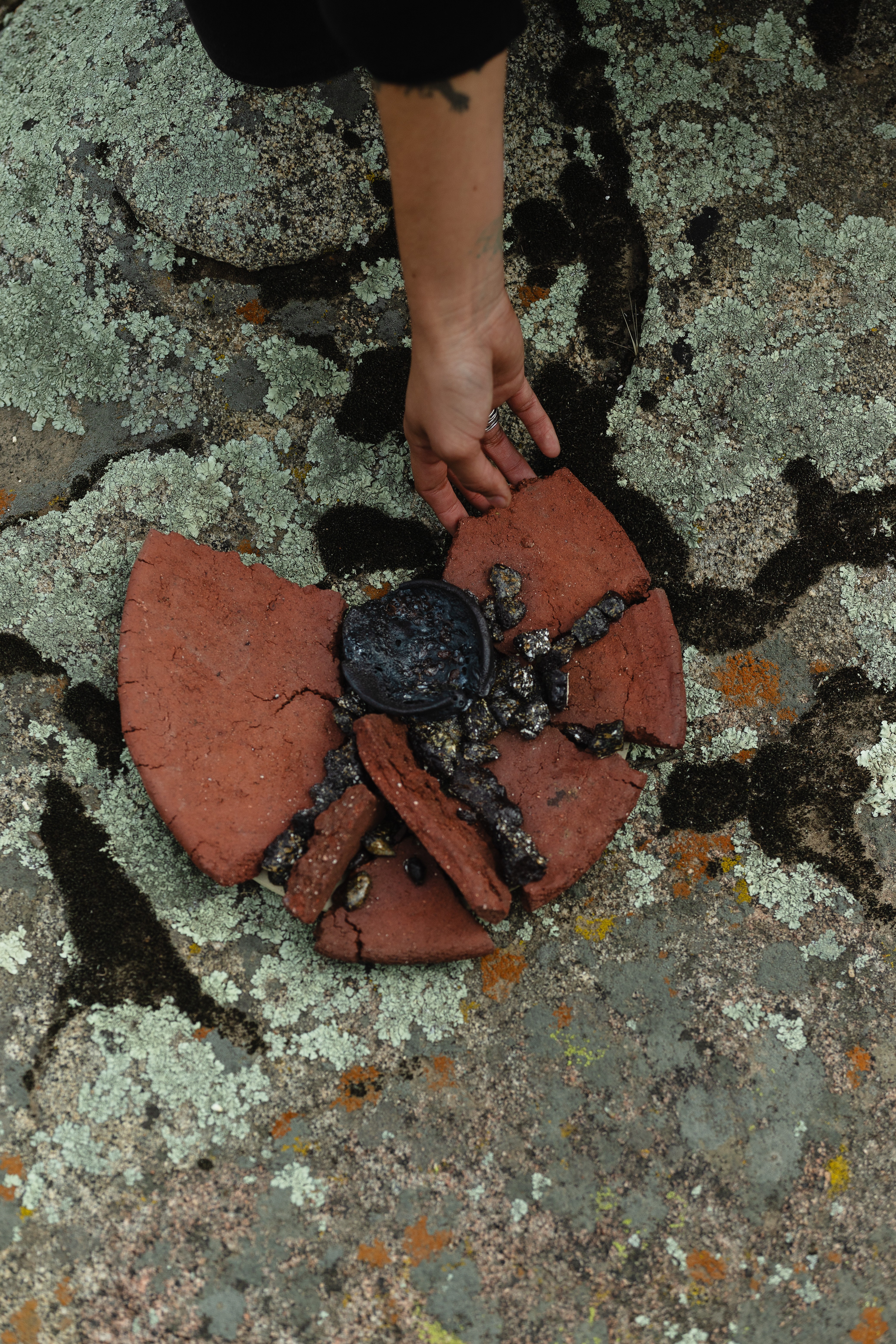 Person's hand holding a large black crab on a broken brick surface with moss and lichen.