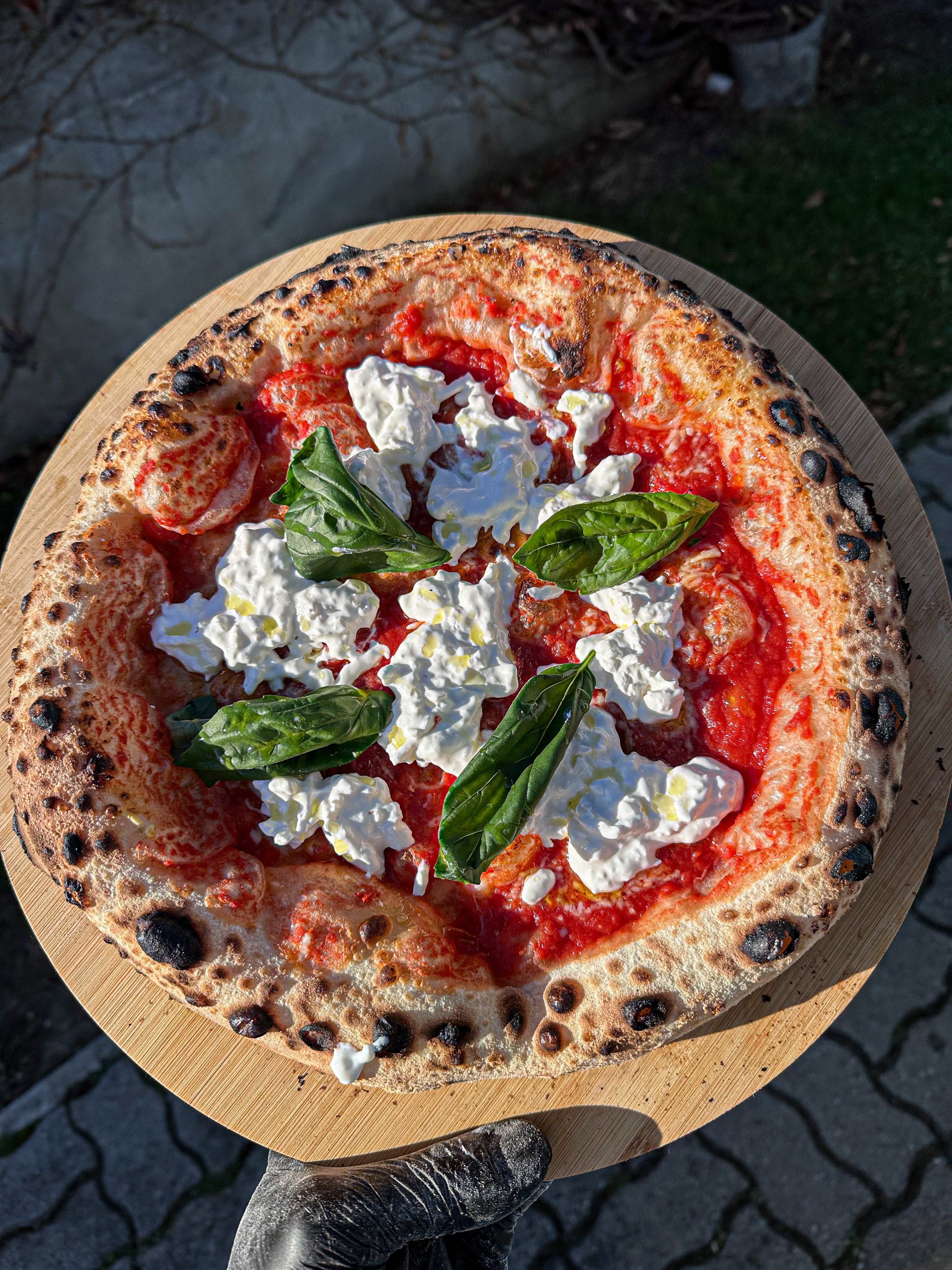 Pizza with cheese, tomato sauce, basil leaves, and dollops of ricotta cheese on top, viewed from above.