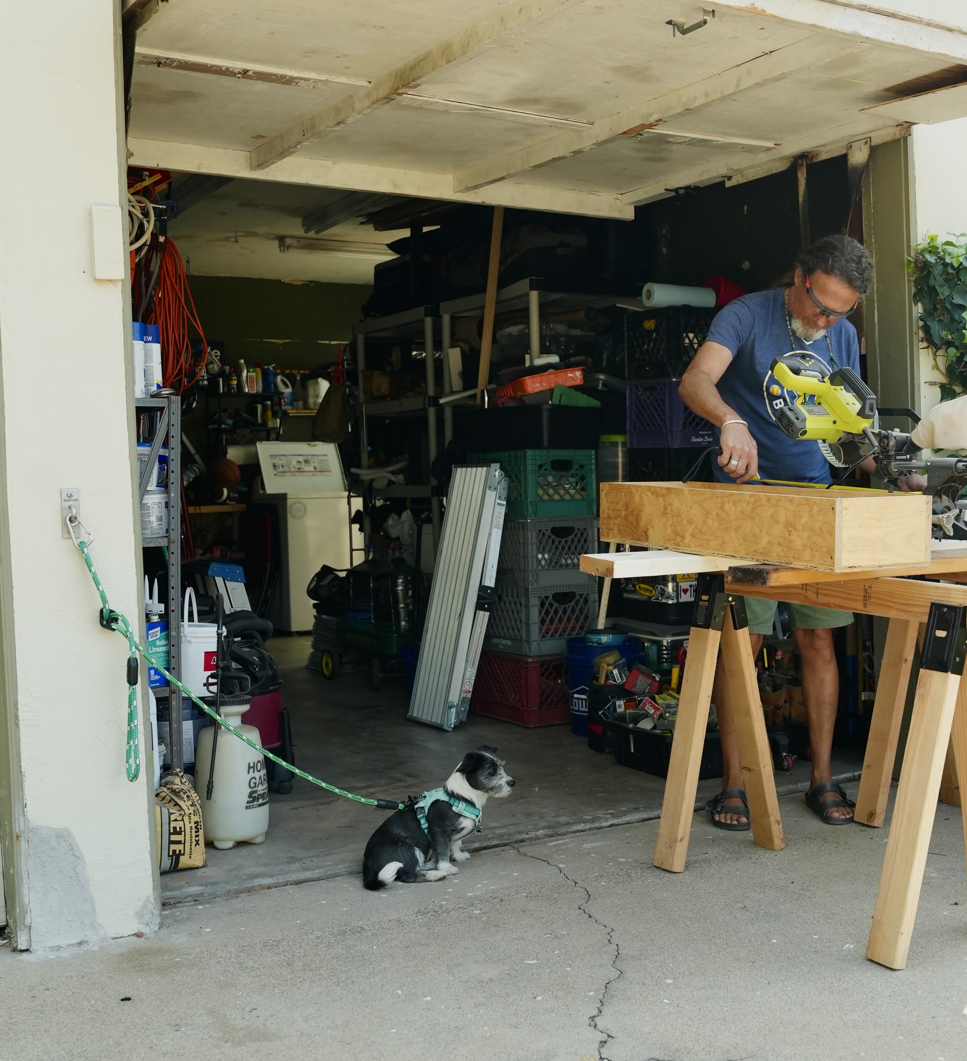 Person using a power saw in a garage workshop with a dog sitting outside, various tools and supplies visible.