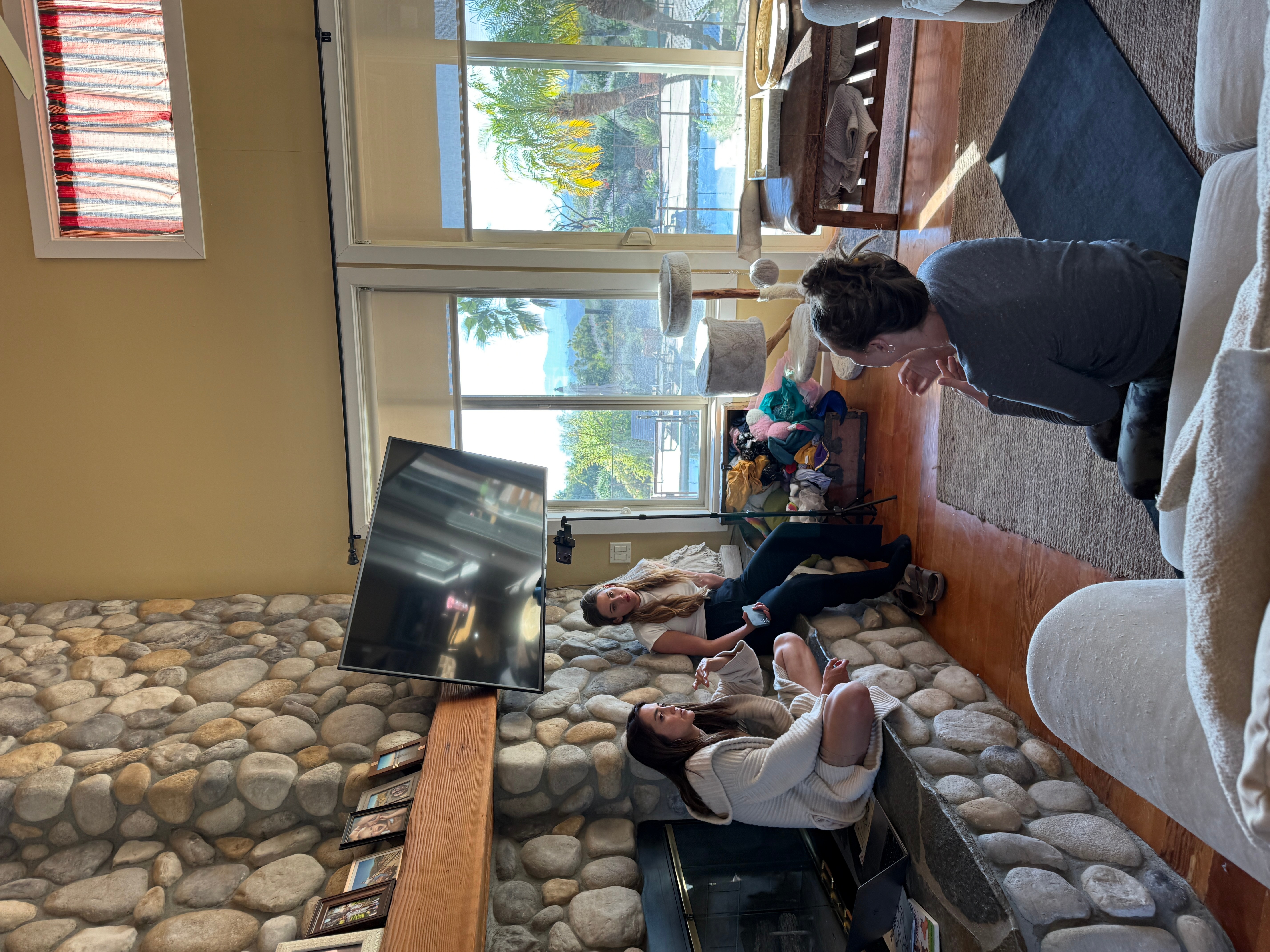 People gathered in a living room with large windows, stone wall, and a flat-screen TV, engaging in conversation.