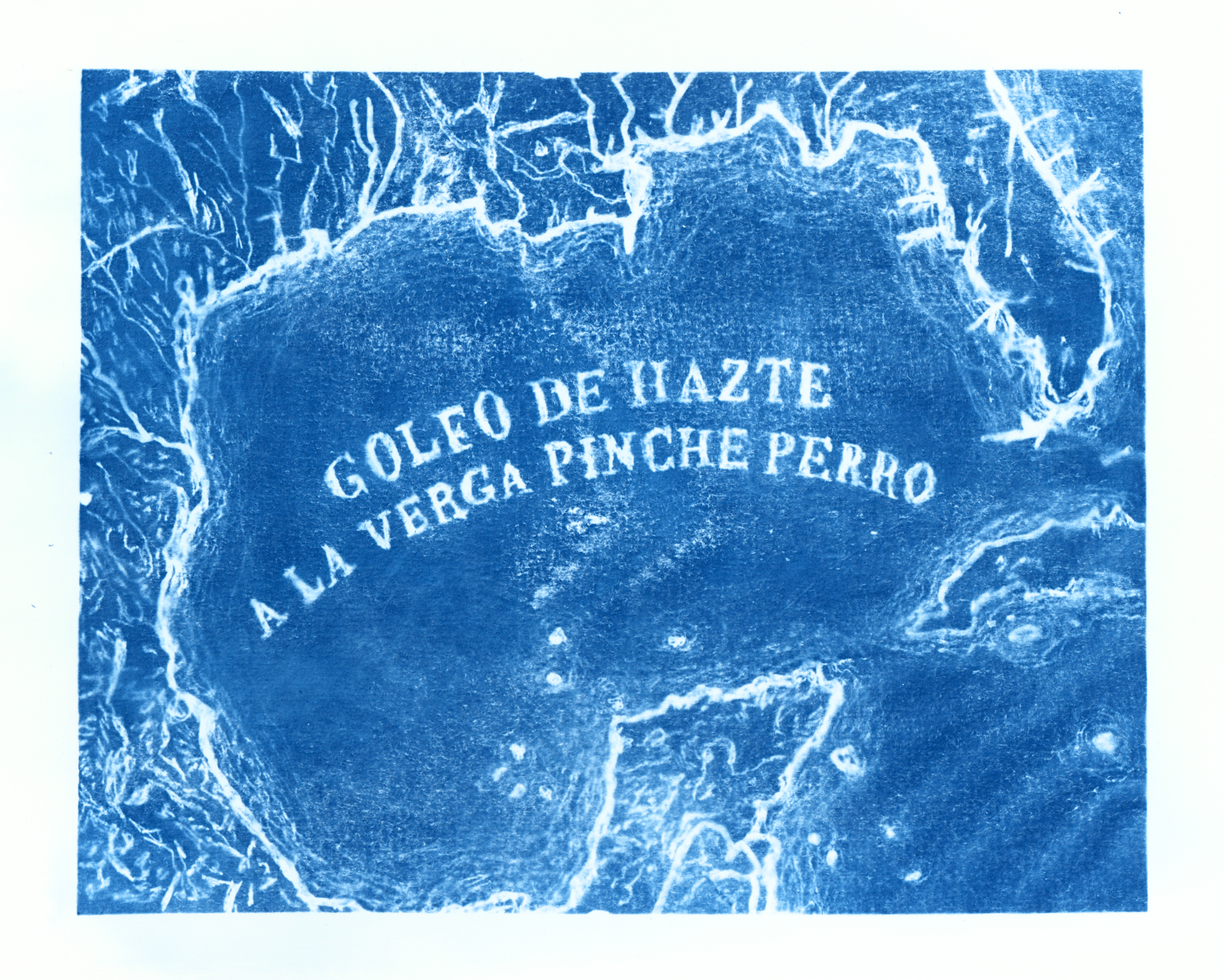 Text on ice surface reads: 'GOLFO DE HAZTE A LA VERGA PINCHE PERRO'.