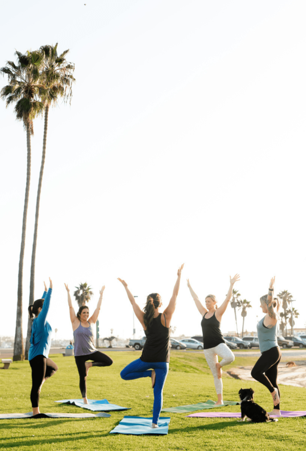 Group of five people practicing yoga outdoors on mats, with palm trees and a clear sky in the background.