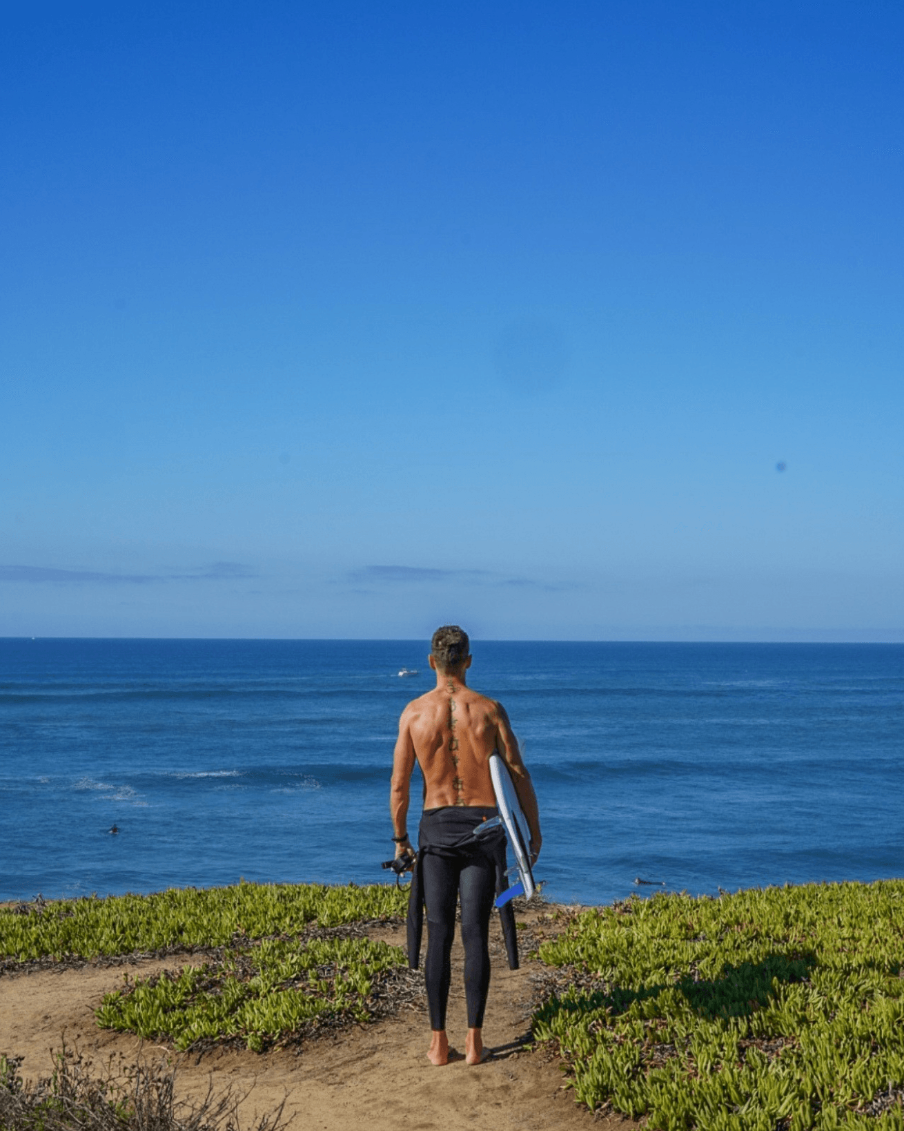 Person walking towards the ocean on a grassy beach, holding a surfboard, with a clear blue sky above.