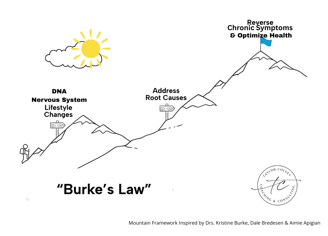 Diagram illustrating Burke's Law with mountain peaks labeled DNA, Address, and Reverse Chronic Symptoms, showing progression from lifestyle changes to health. 20 words.