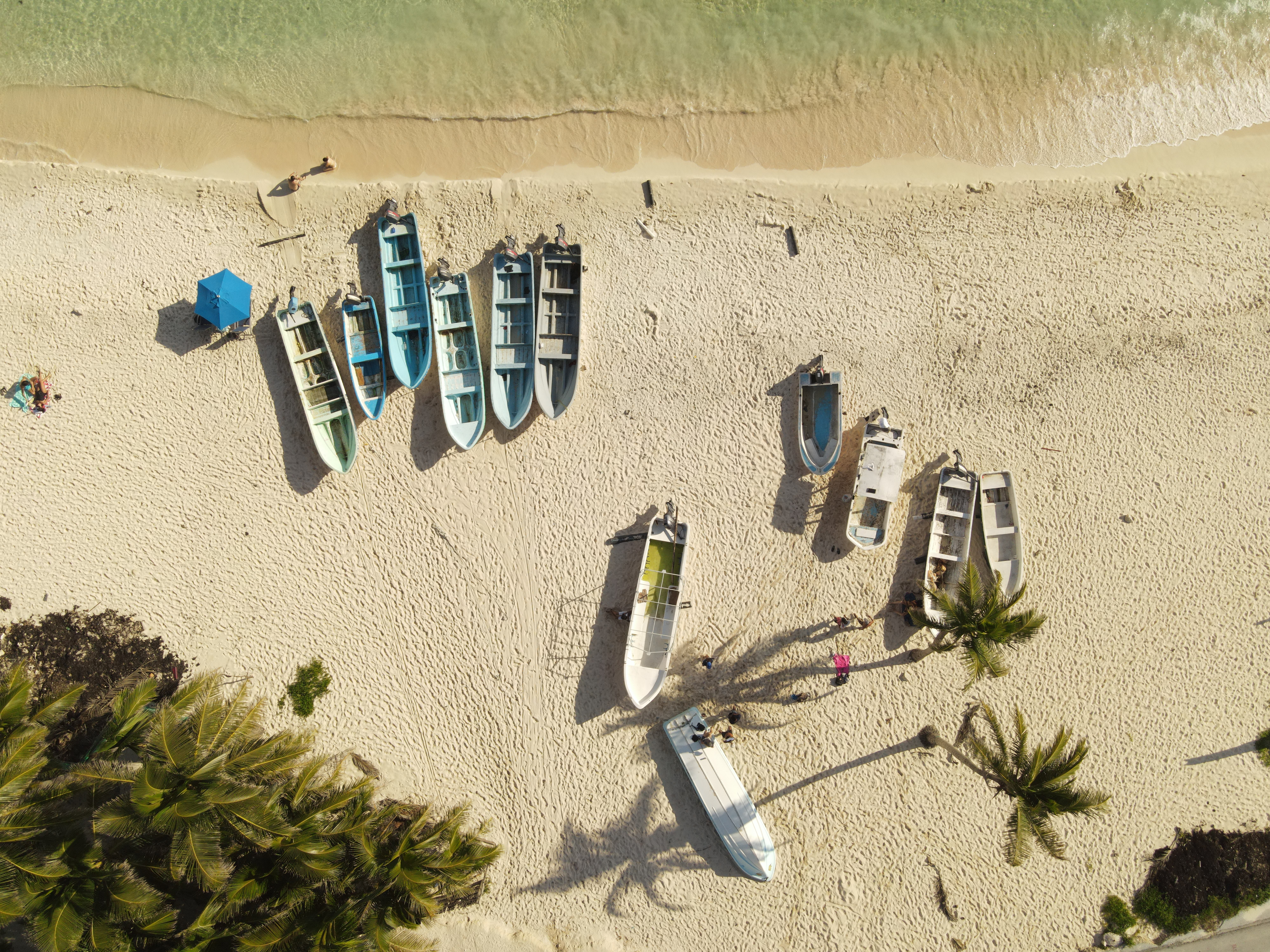 Boats are lined up on a sandy beach near the water, with palm trees casting shadows, and a person nearby.