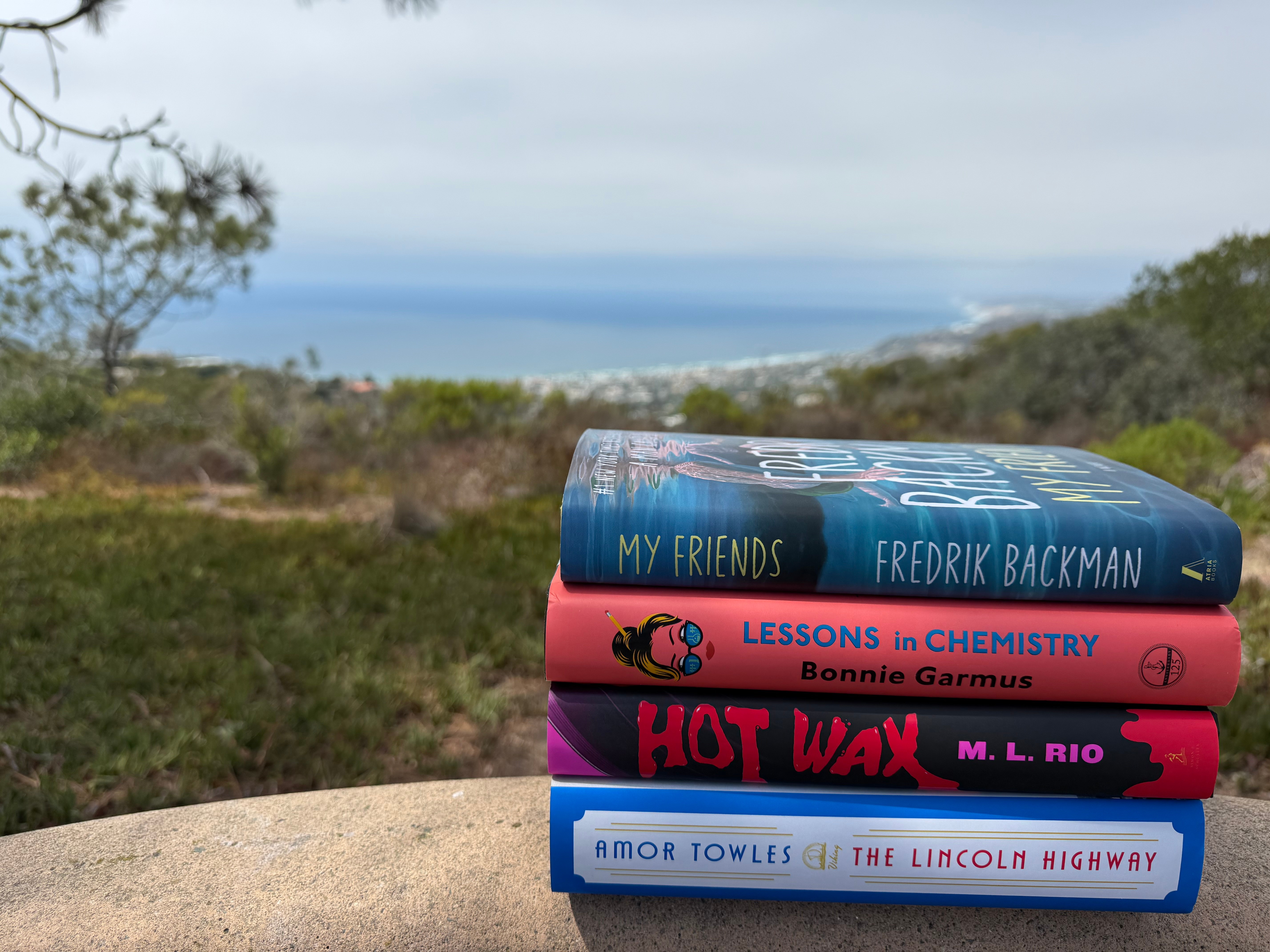 Stack of five books on a ledge with a landscape and ocean in the background.