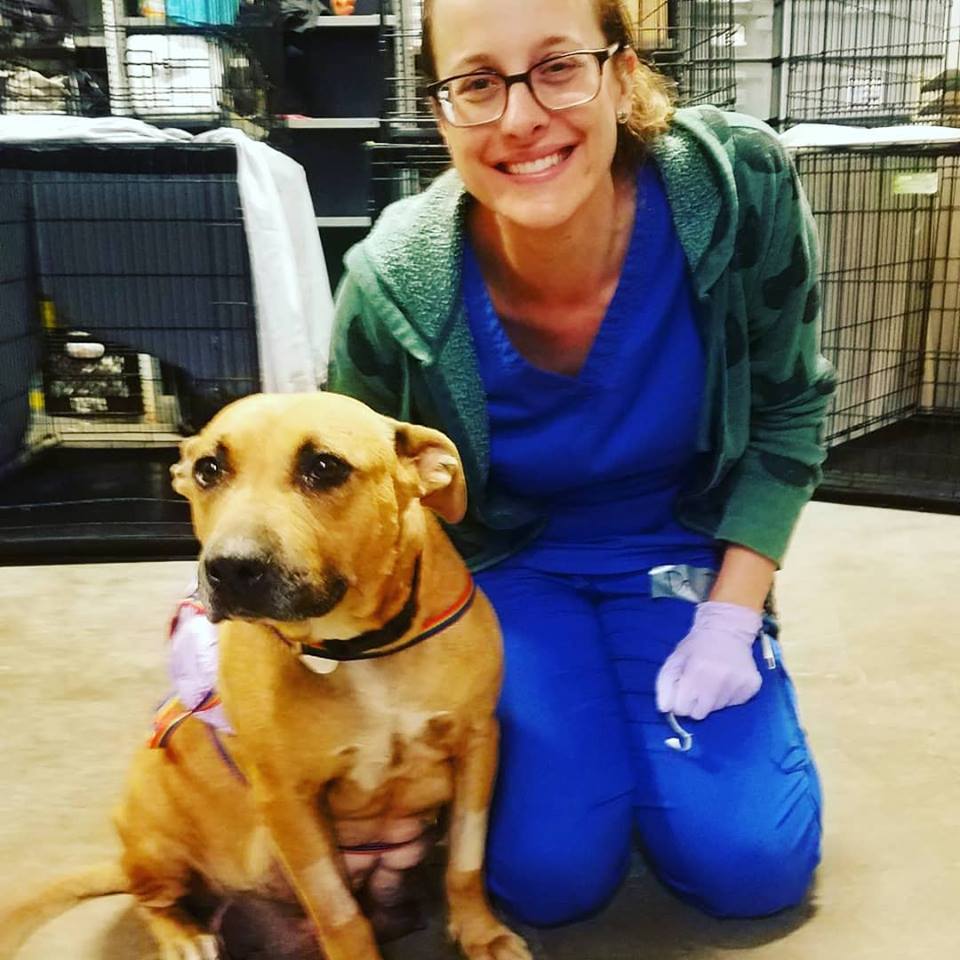 Woman kneeling with a tan dog in a shelter, smiling, wearing glasses, green hoodie, blue scrubs, and gloves.