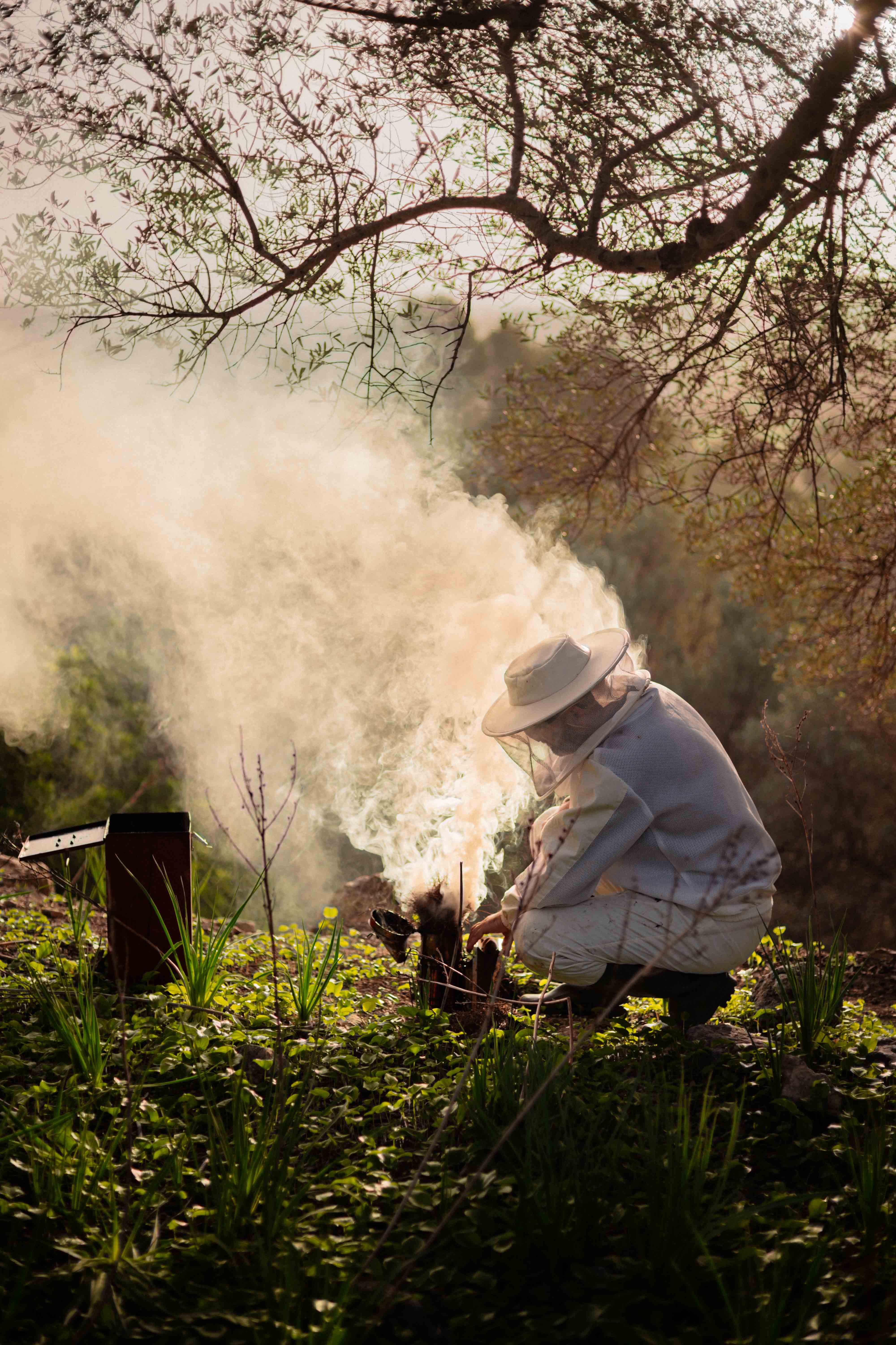 Person wearing a hat crouching near plants, releasing smoke or steam outdoors, with tree branches overhead.