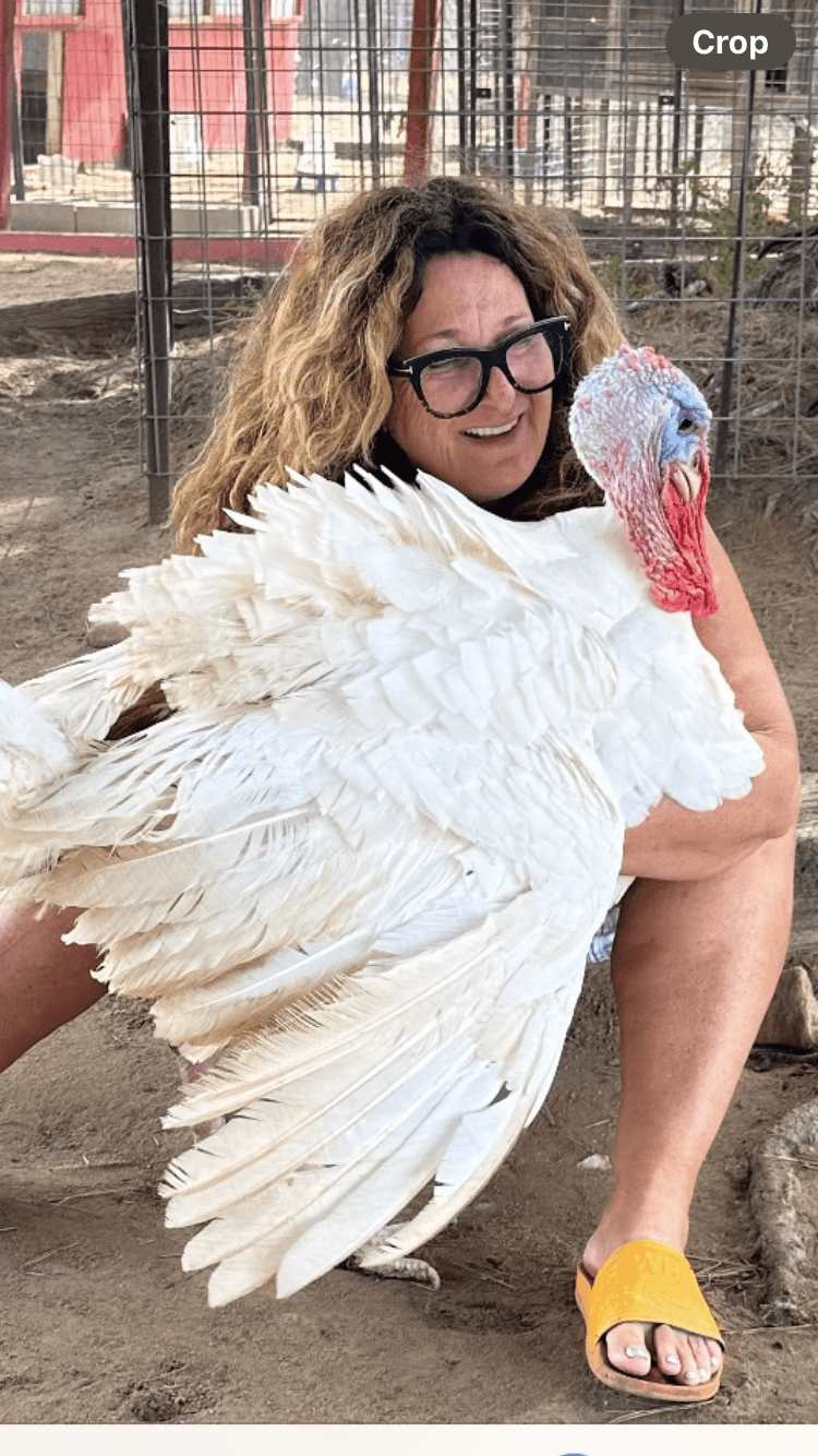 Person hugging a large white turkey outdoors, wearing glasses and yellow sandals, with a fence in the background.