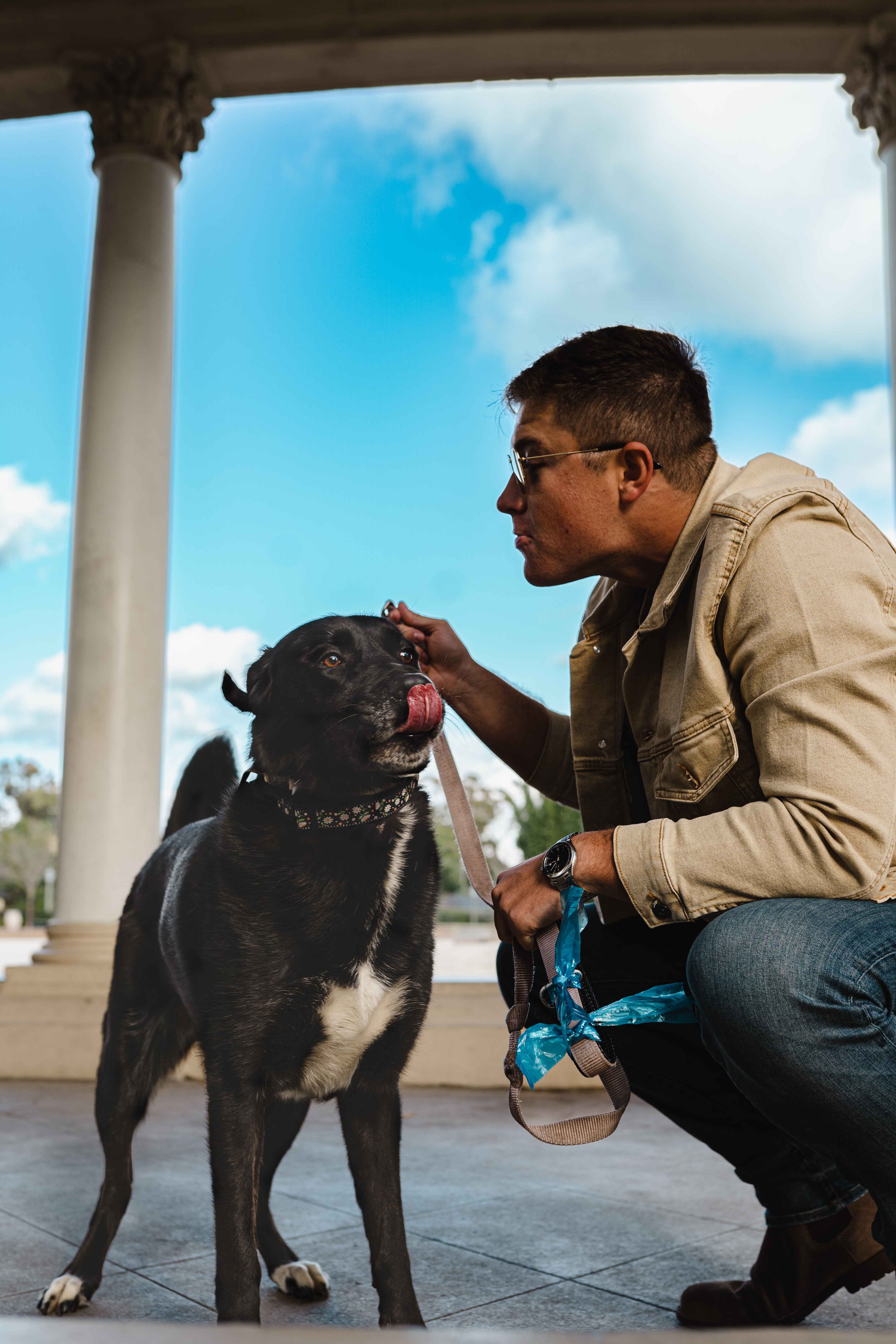 Person crouching and petting a black dog outdoors with columns and blue sky in background.