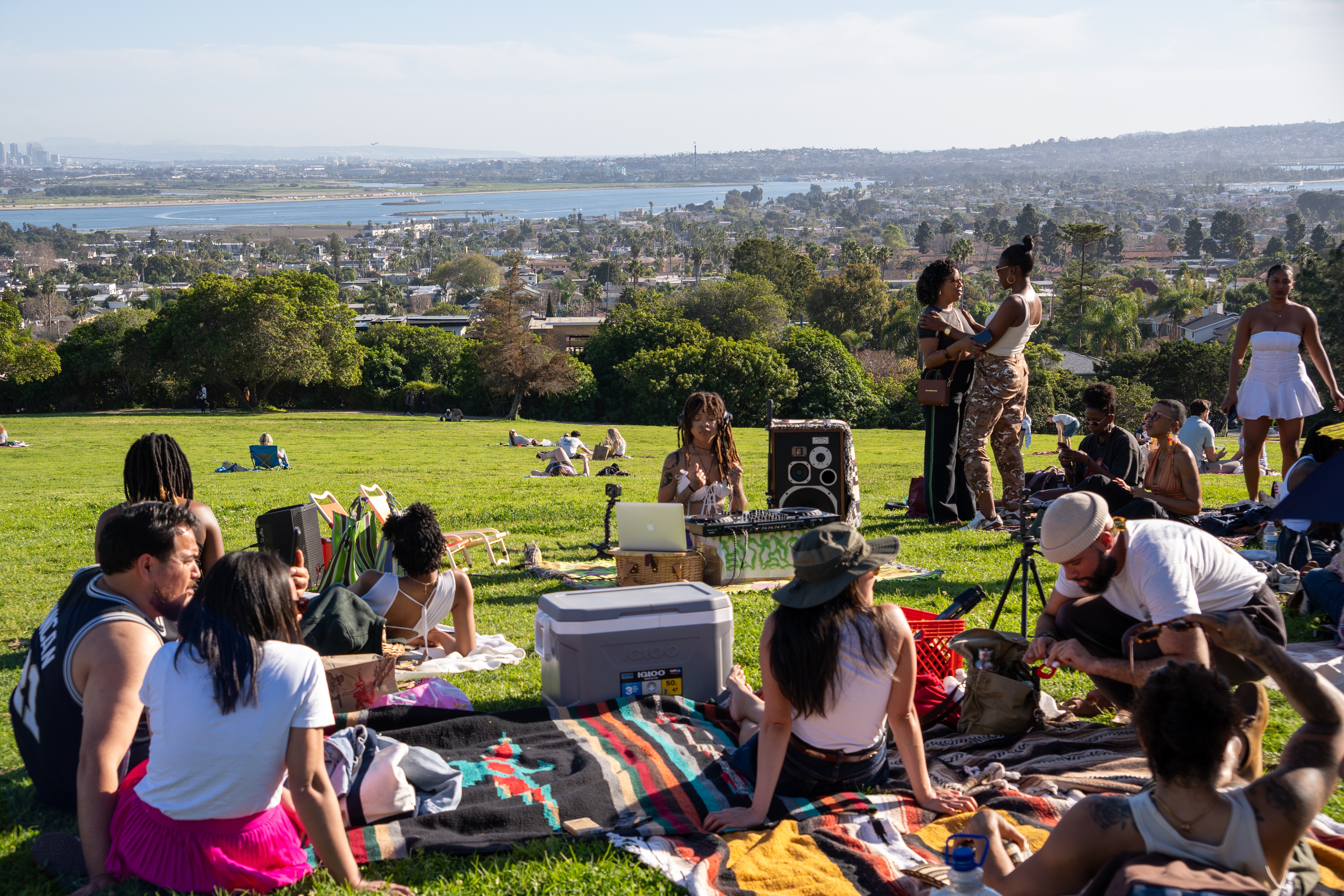 People sitting on blankets and standing on a grassy hill with a cityscape and water in the background.
