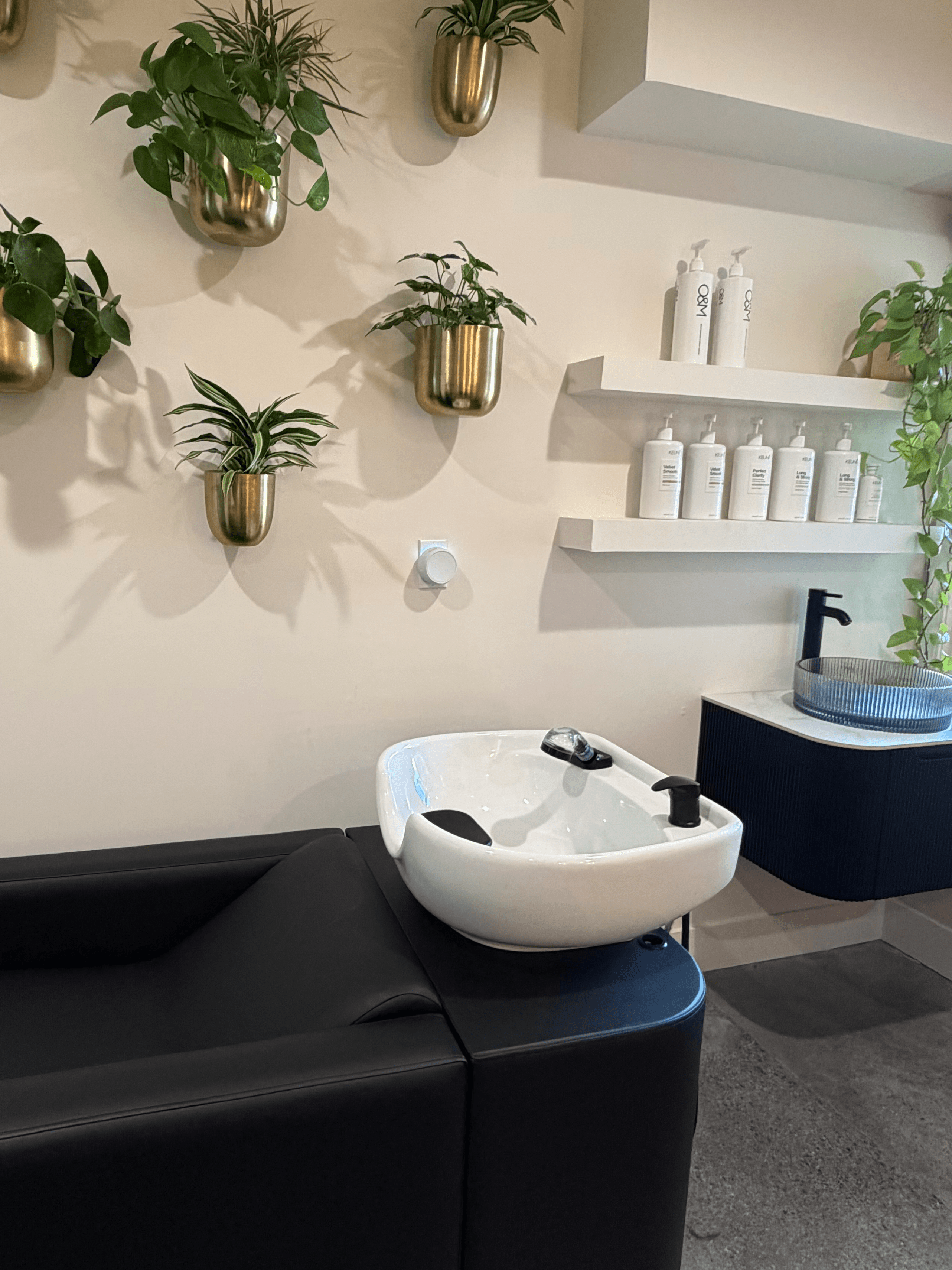 Wall with hanging plants, shelves with bottles, and a sink with a black faucet, in a modern interior.