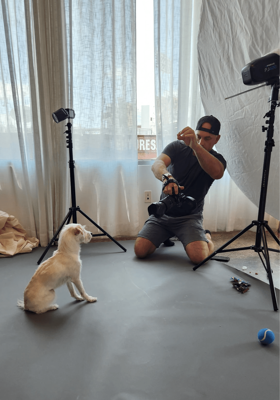 Photographer kneeling with camera, dog sitting on floor, studio setup with lights, curtains, and a blue ball, indoors.