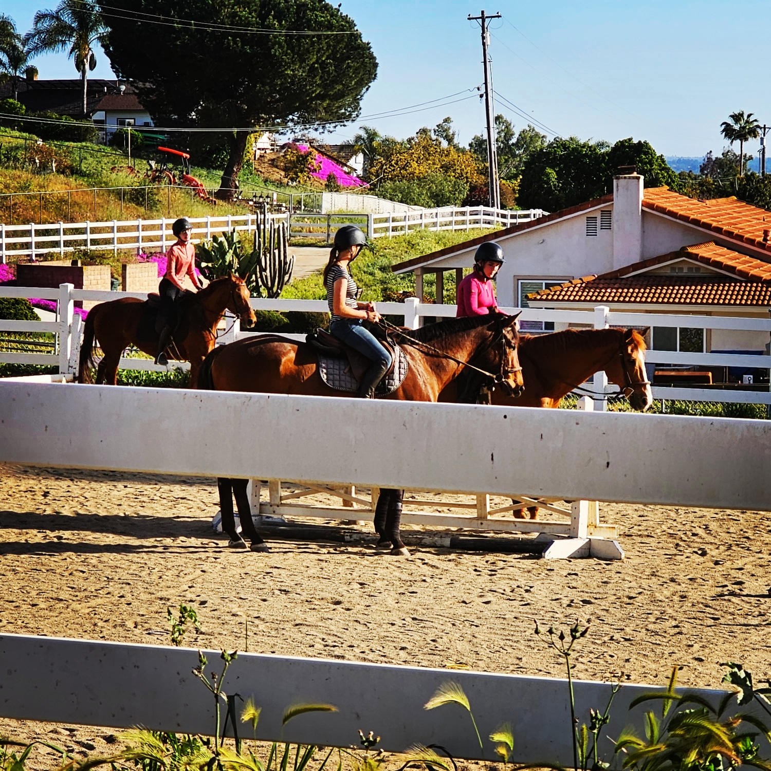 Three people riding horses in an outdoor riding arena with houses and trees in the background.