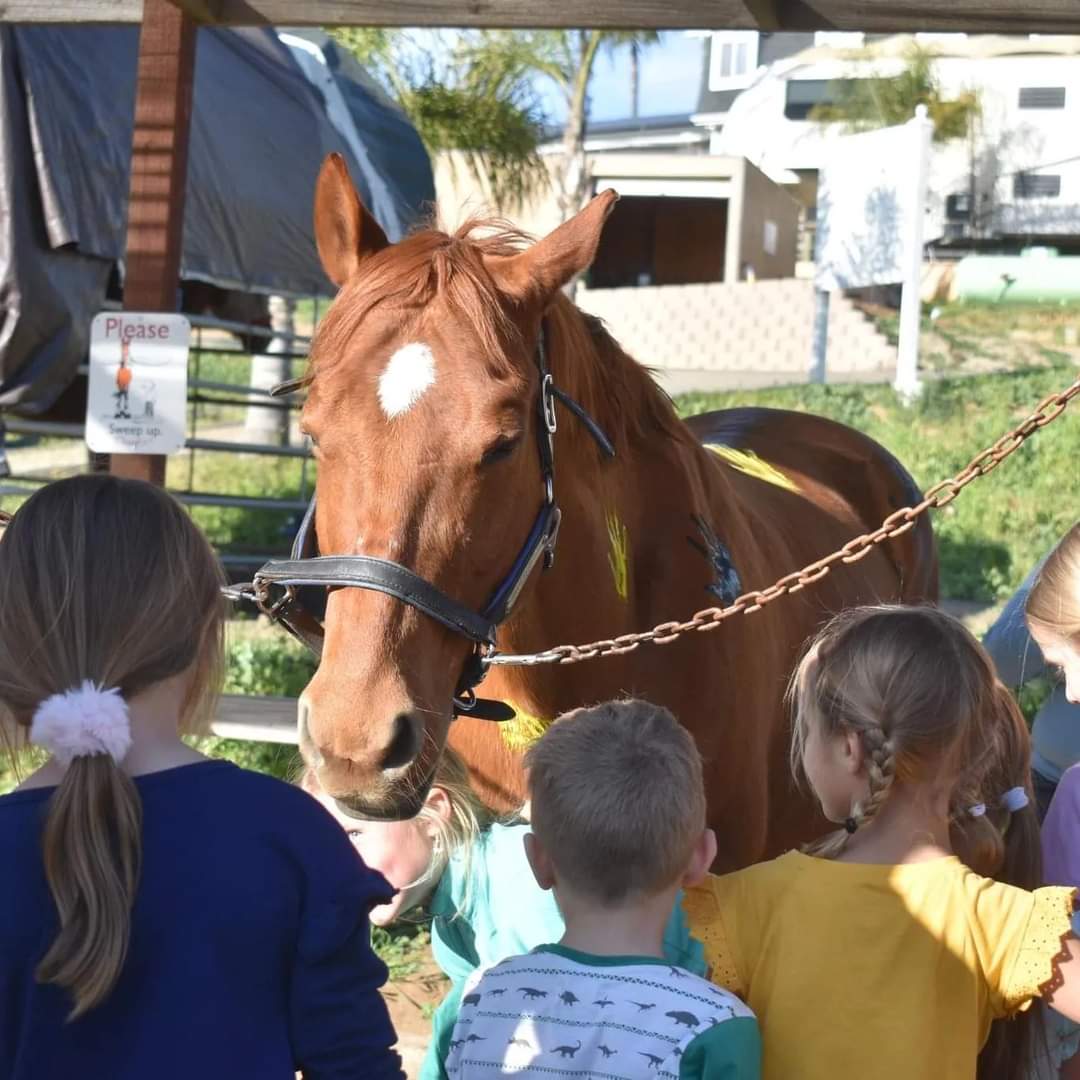 Group of children gathered around a brown horse with a white mark on its forehead outdoors.