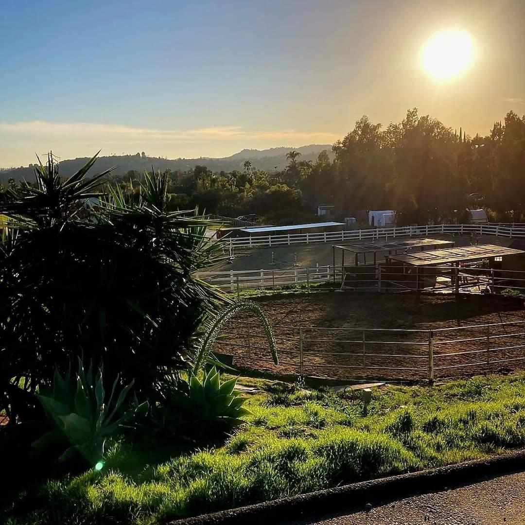 Sunset over a rural landscape with trees, fences, and a grassy foreground.