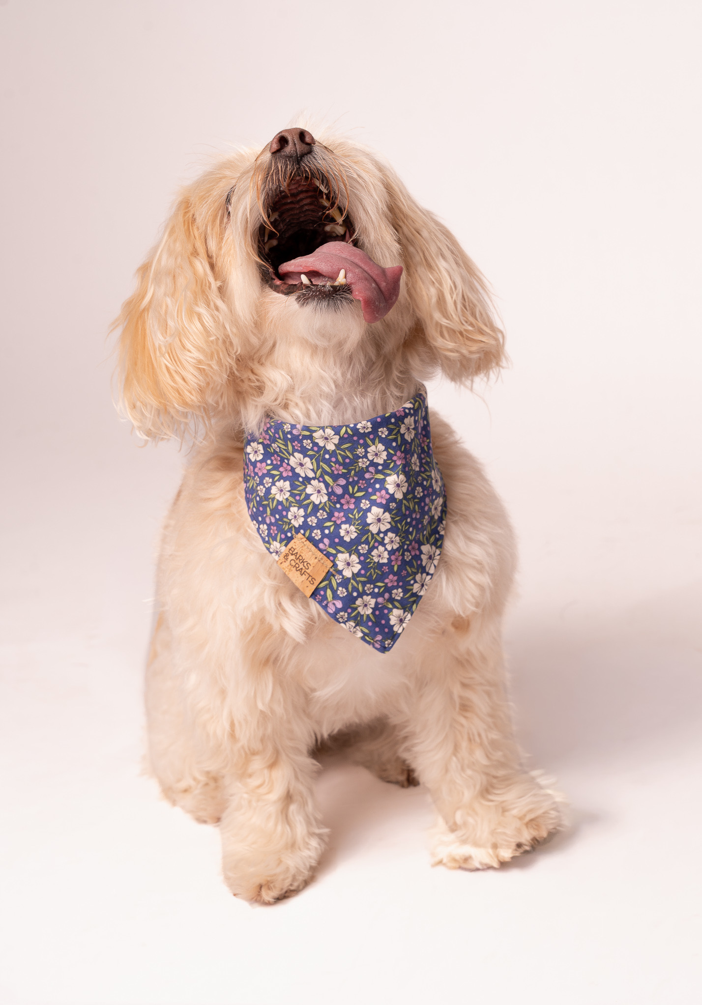 Dog with a floral bandana sitting and looking up, mouth open, tongue out, against a plain background.