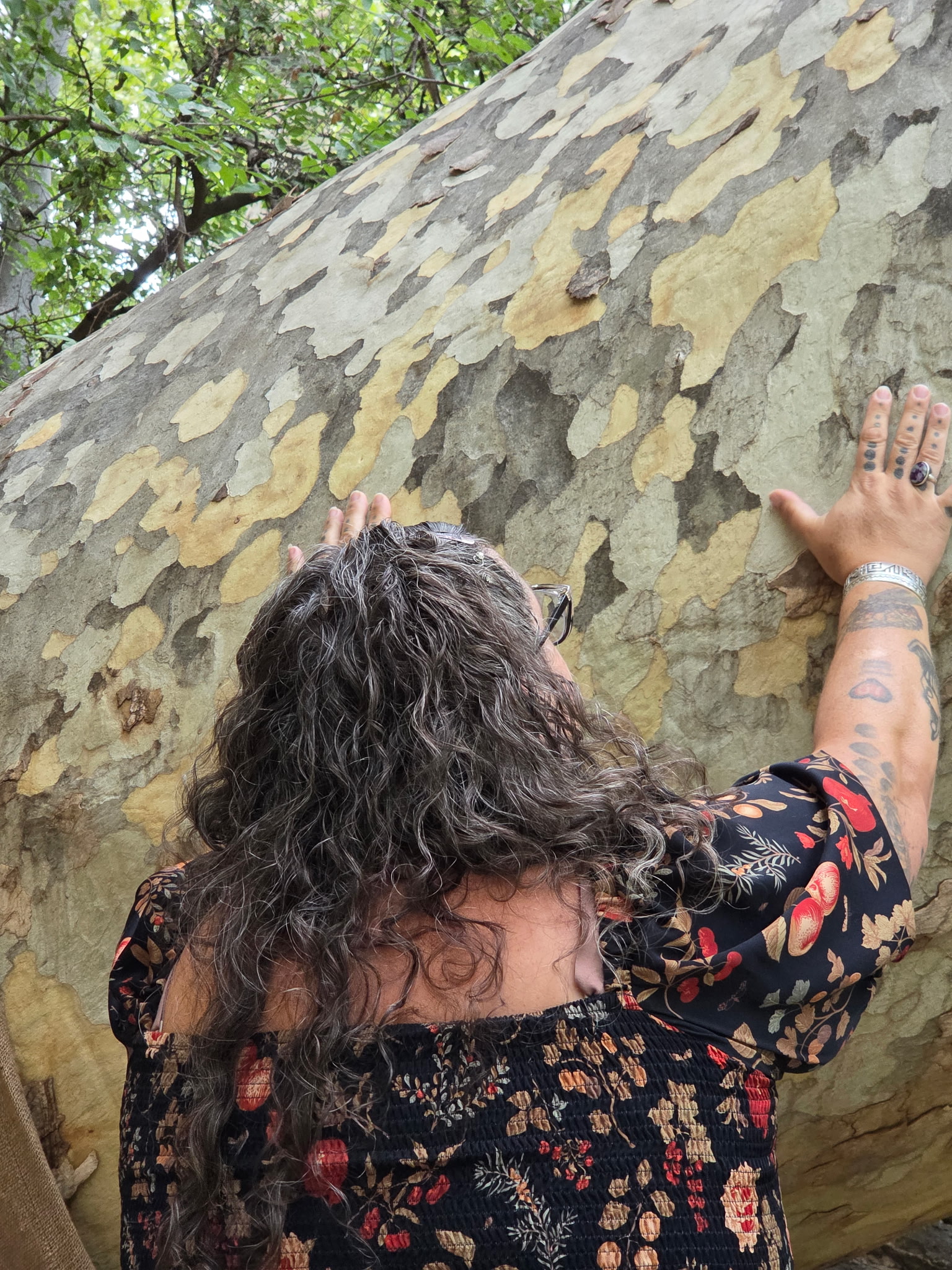 Person with curly hair and tattoos reaching out to a large tree trunk with peeling bark, wearing a floral-patterned top.