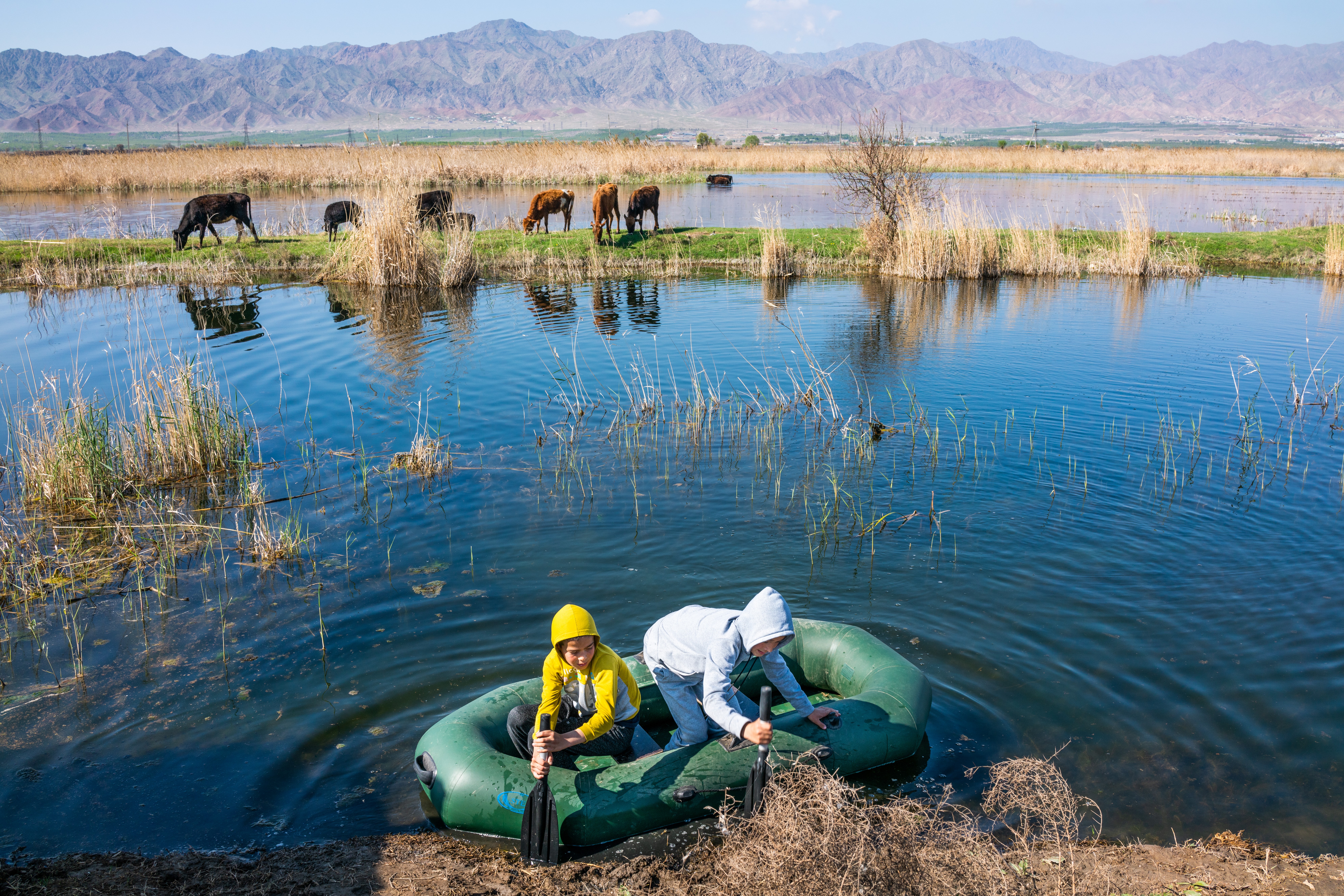 People in a small boat on a lake with horses grazing in the background, mountains in the distance, and reeds near the water's edge.