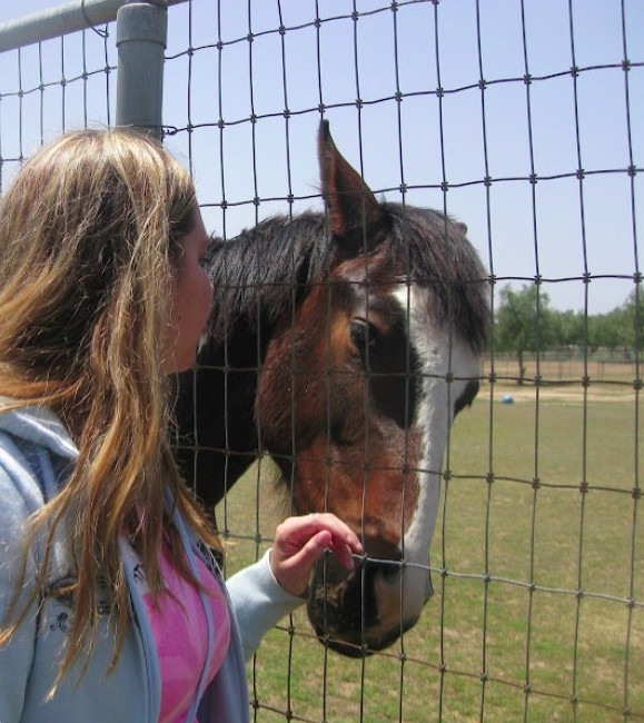 Person with long hair and a pink and gray jacket interacts with a horse behind a wire fence outdoors.